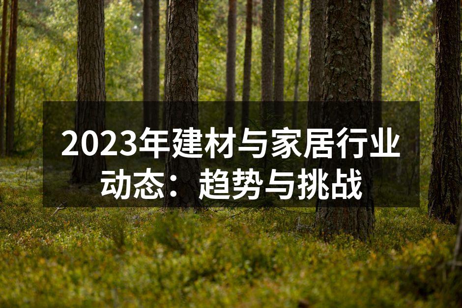2023年建材与家居行业动态：趋势与挑战