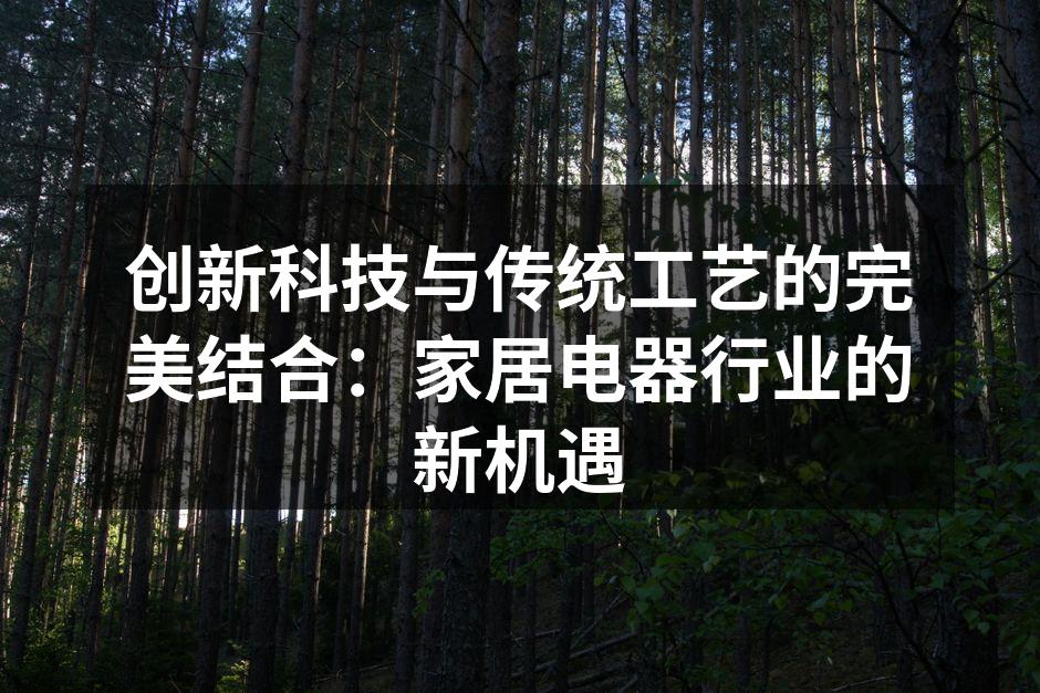 创新科技与传统工艺的完美结合：家居电器行业的新机遇